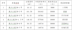 租赁权拍卖公告