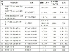 租赁权拍卖公告 租赁权拍卖公告